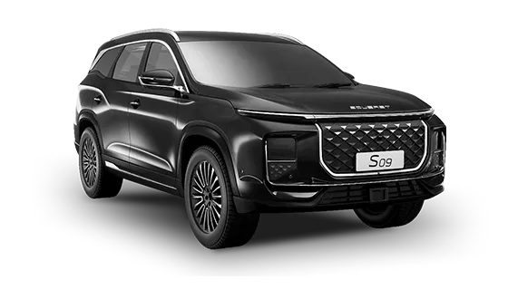 Цвета S09