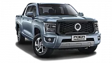 GWM Poer KingKong